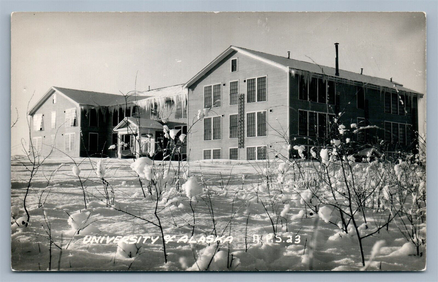 FAIRBANKS AK UNIVERSITY OF ALASKA WINTER SCENE VINTAGE REAL PHOTO POSTCARD RPPC