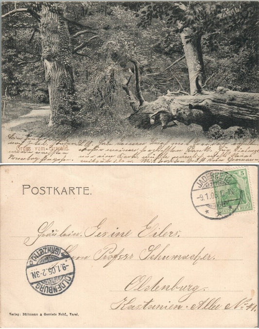 GRUSS VOM URWALD OLDENBURG GERMAN ANTIQUE POSTCARD