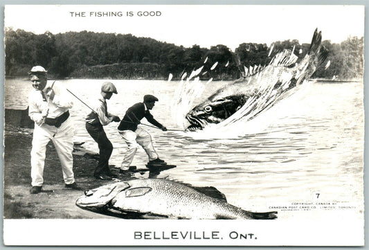 BELLEVILLE CANADA FISHING EXAGGERATED ANTIQUE REAL PHOTO POSTCARD RPPC