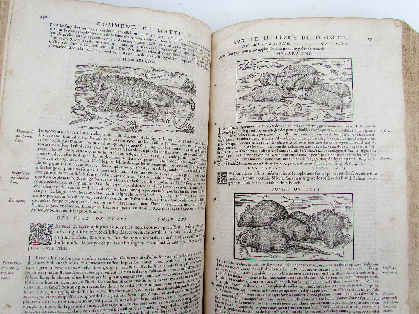 1579 MATTHIOLE COMMENTARIES ILLUSTRATED PLANTS ANIMALS antique 16th cent. FOLIO