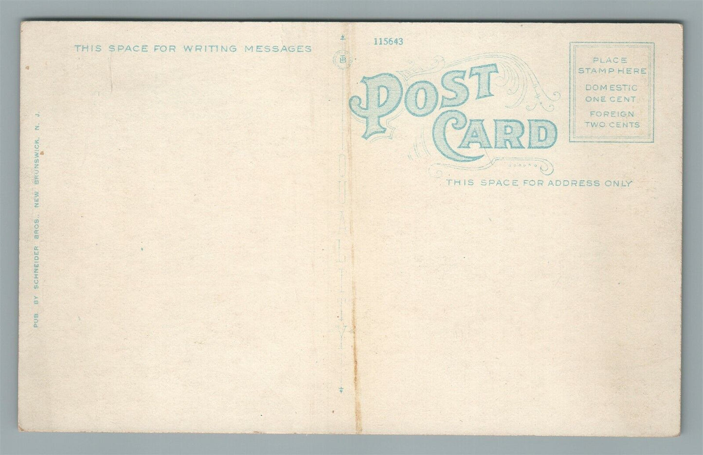 NEW BRUNSWICK NJ COLLEGE FOR WOMEN COOPER HALL ANTIQUE POSTCARD