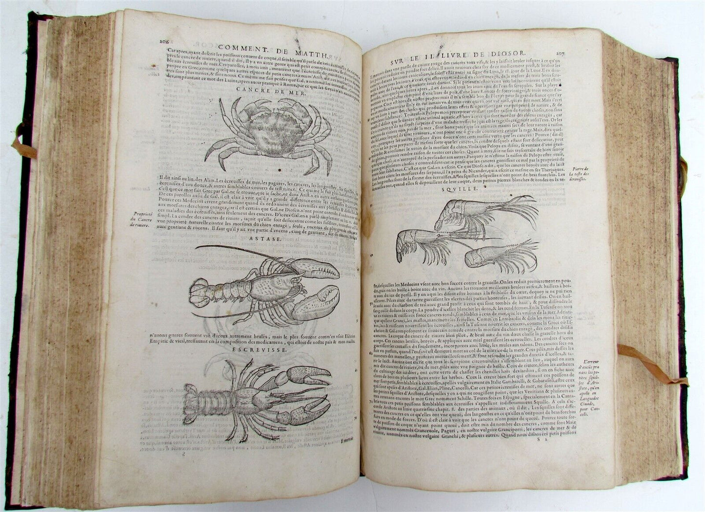 1579 MATTHIOLE COMMENTARIES ILLUSTRATED PLANTS ANIMALS antique 16th cent. FOLIO