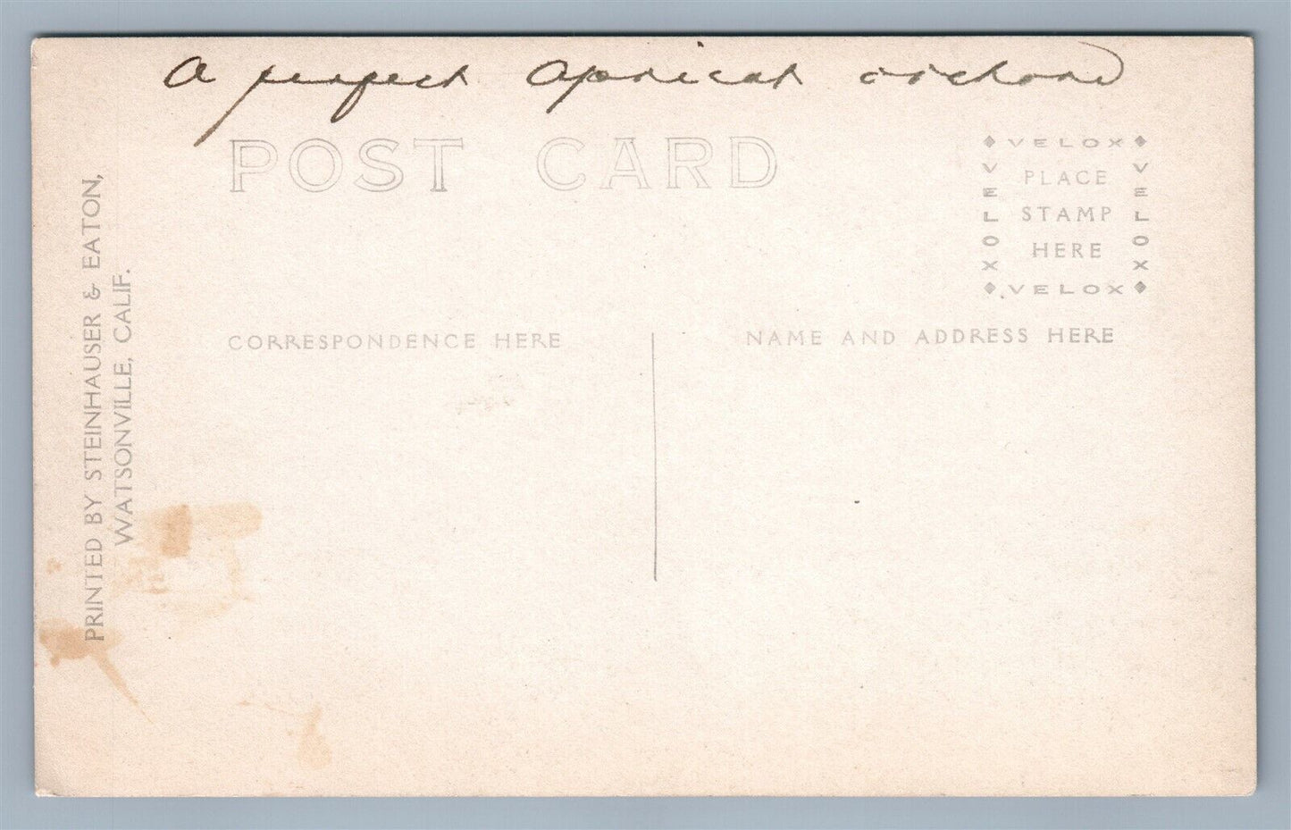 WATSONVILLE CA VINERY ANTIQUE REAL PHOTO POSTCARD RPPC