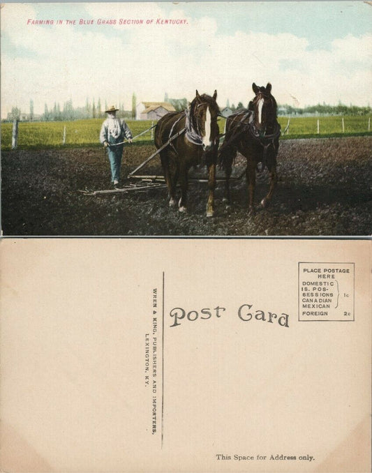 FARMING IN THE BLUE GRASS SECTION IN KENTUCKY ANTIQUE POSTCARD
