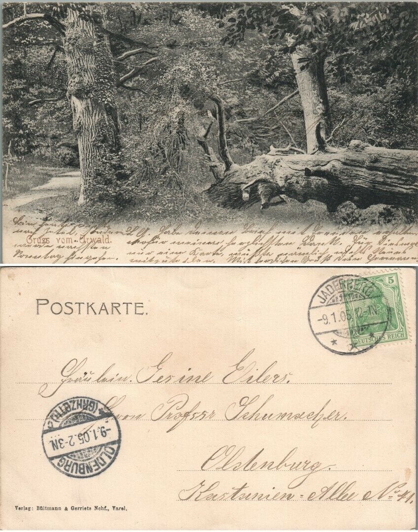 GRUSS VOM URWALD OLDENBURG GERMAN ANTIQUE POSTCARD