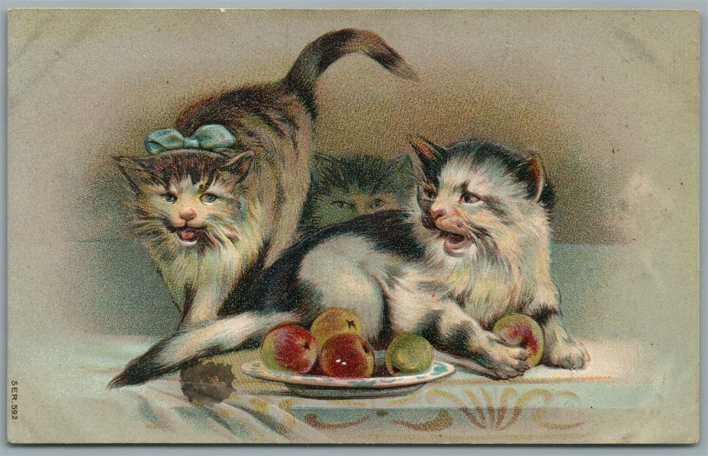 ANGRY CATS ANTIQUE POSTCARD