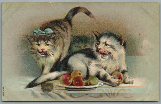 ANGRY CATS ANTIQUE POSTCARD