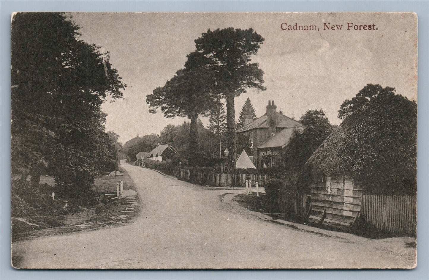 ENGLAND CADHAM NEW FOREST ANTIQUE POSTCARD