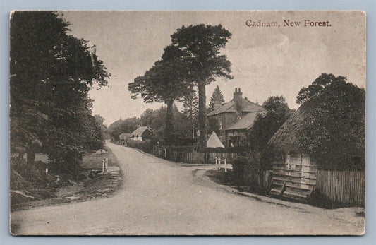 ENGLAND CADHAM NEW FOREST ANTIQUE POSTCARD