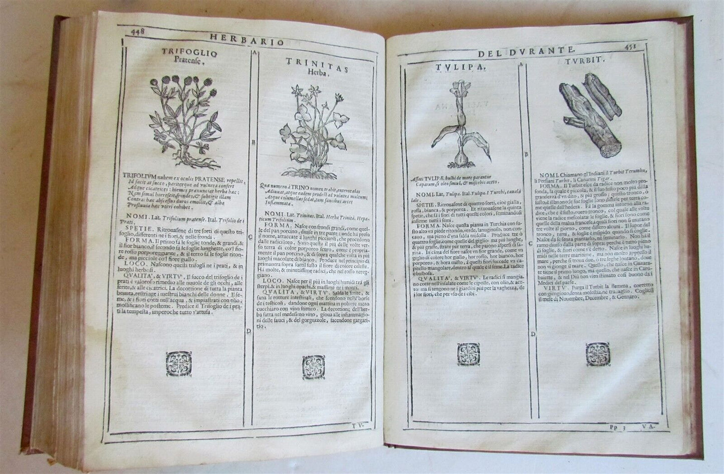 1667 HERBARIO NOVO by Castore DURANTE antique PLANTS BOTANY FULLY ILLUSTRATED