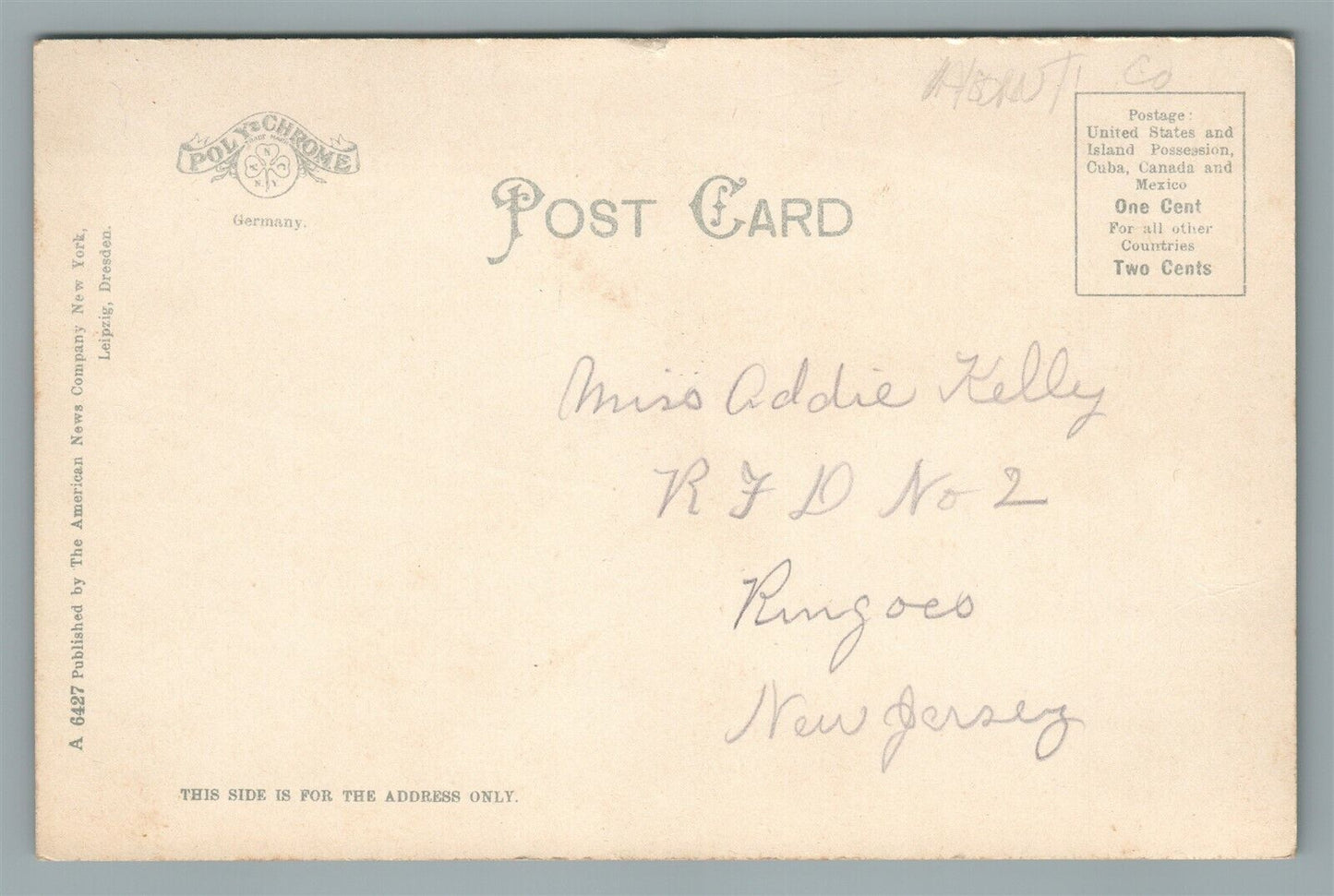 FLEMINGTON N.J. PUBLIC PARK ANTIQUE POSTCARD