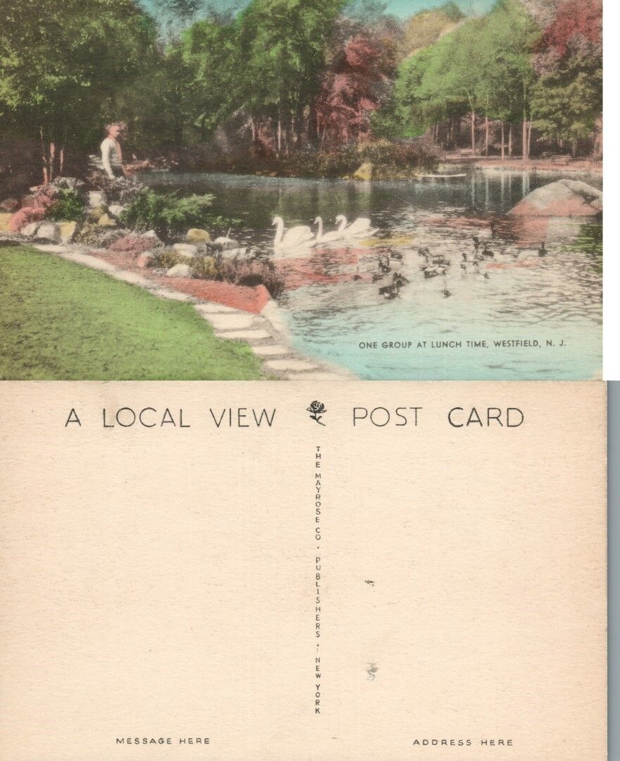 WESTFIELD N.J. LUNCH TIME VINTAGE POSTCARD