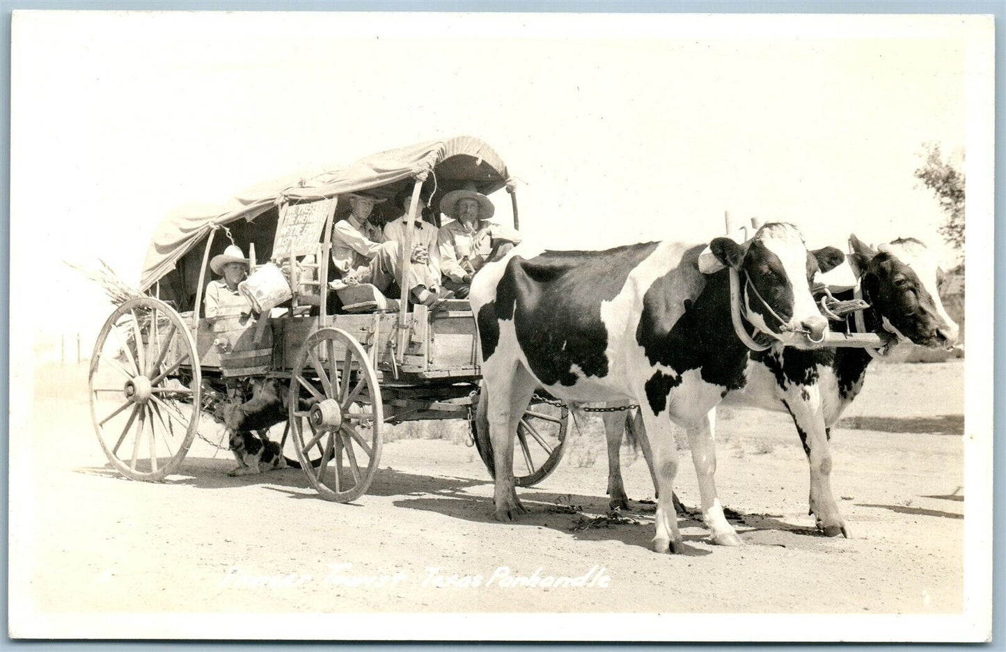 PIONEER TOURIST TEXAS PANHANDLE VINTAGE REAL PHOTO POSTCARD RPPC
