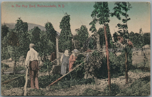 RICHMONDVILLE NY THE HOP YARD ANTIQUE POSTCARD