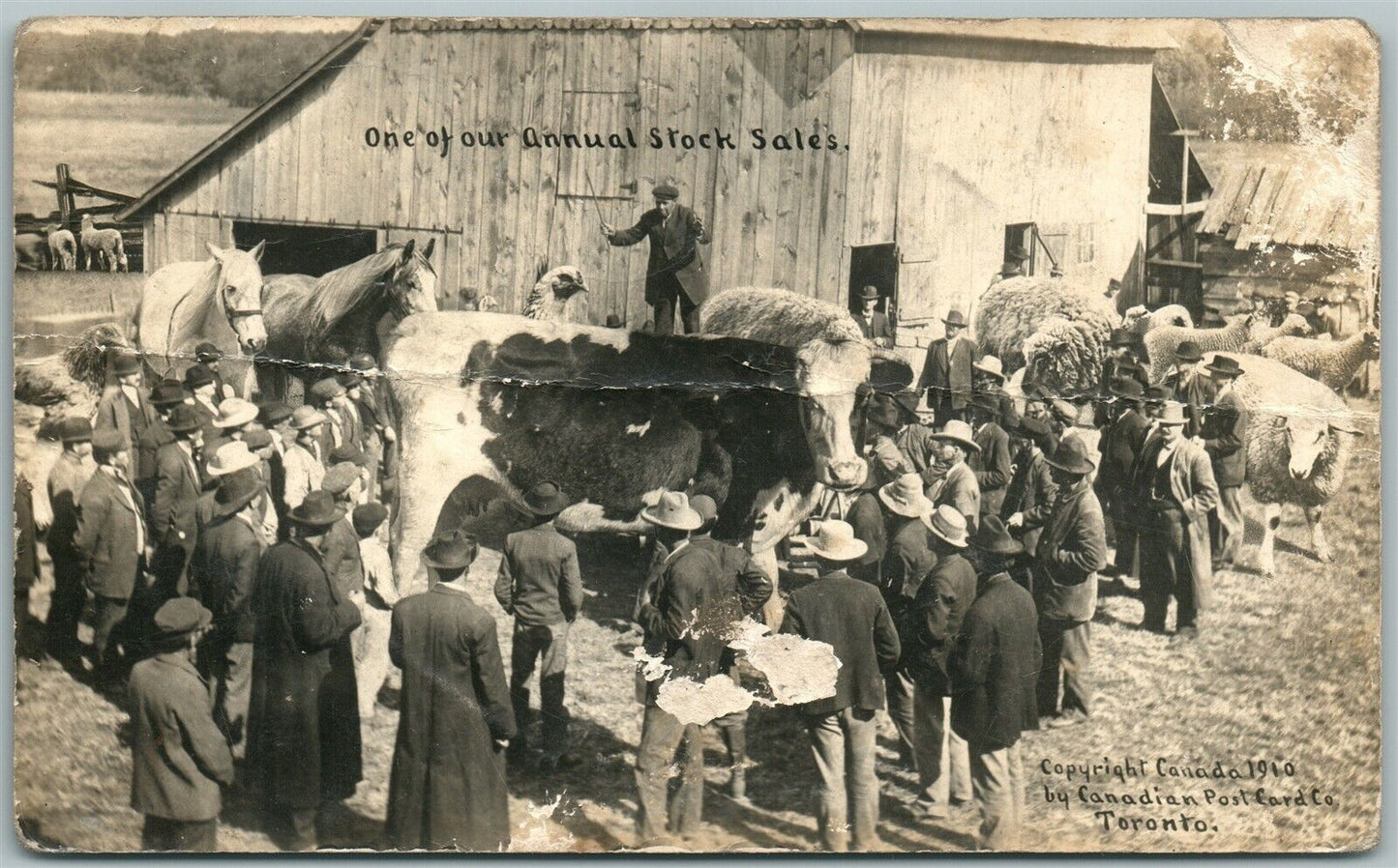 ANNUAL STOCK SALE CANADA ANTIQUE REAL PHOTO POSTCARD RPPC