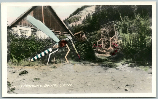 EXAGGERATED MOSQUITO VINTAGE HAND COLORED REAL PHOTO POSTCARD RPPC