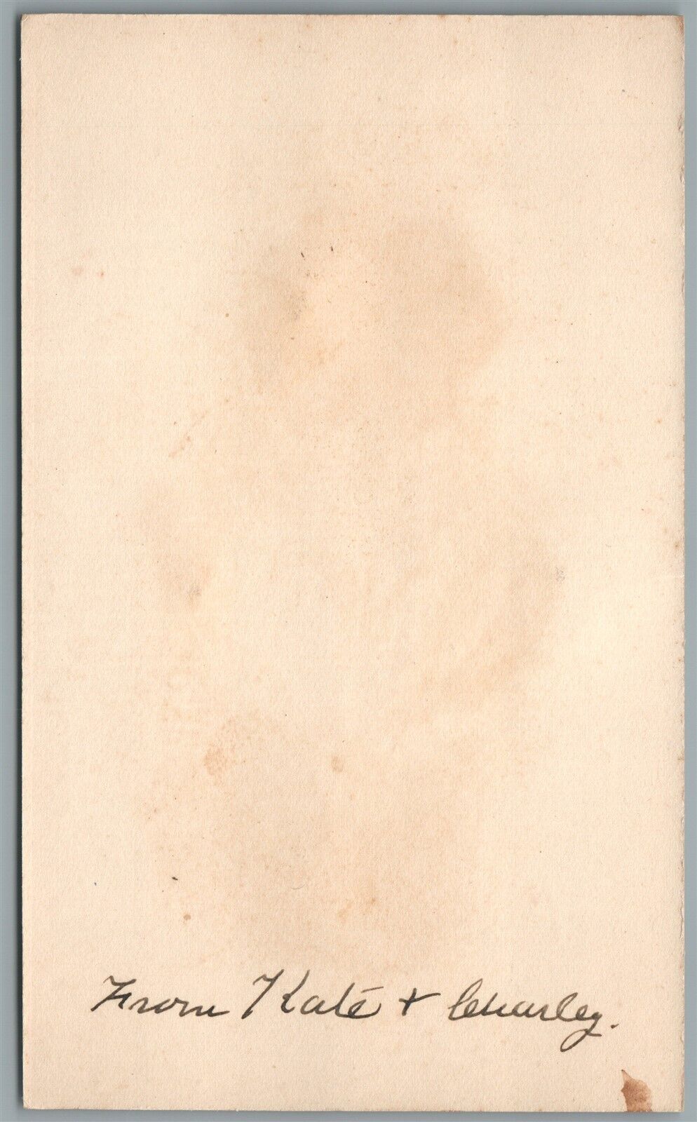 HOLY LAND REAL FLOWERS ANTIQUE POSTCARD Judaica