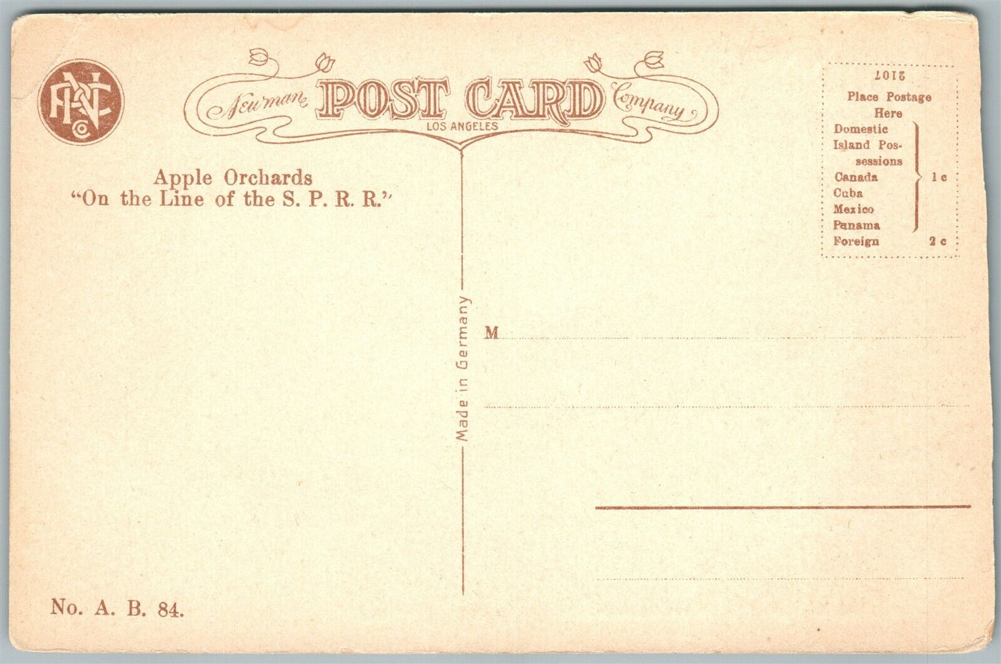 SPECIMEN OF CALIFORNIA APPLES EXAGGERATED ANTIQUE POSTCARD