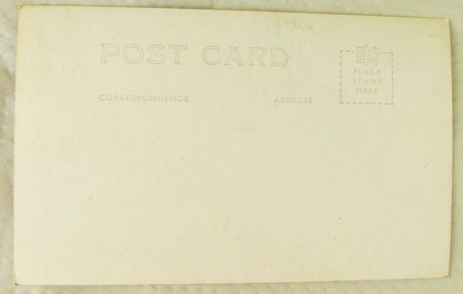 MT.RAINER & PARADISE VALLEY CALIFORNIA VINTAGE REAL PHOTO POSTCARD RPPC