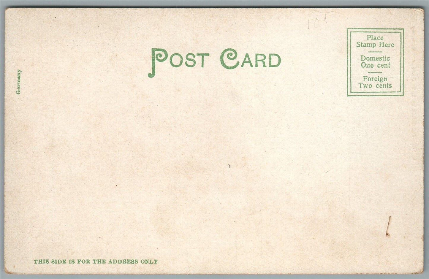 FITCHBURG MA WHALOM PARK TOBOGGAN SLIDE ANTIQUE POSTCARD