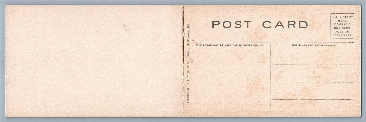 JOHNSTOWN PA FLOOD VICTIMS CEMETERY FOLDING ANTIQUE DOUBLE POSTCARD