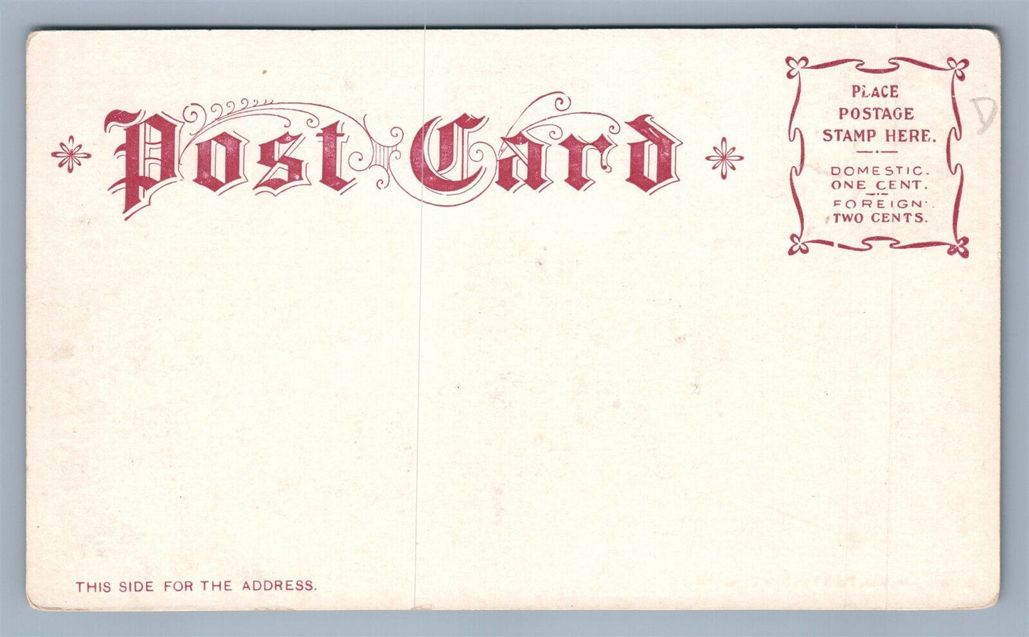 SARATOGA NY HIGH ROCK SPRING ANTIQUE POSTCARD by ARTHUR LIVINGSTON