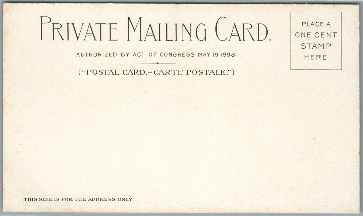 BUFFALO NY PAN AMERICAN EXPO ANTIQUE PRIVATE MAILING POSTCARD liberal arts blg