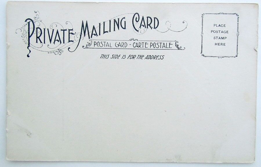 SAYVILLE L.I. LONG ISLAND N.Y. HISTORIC HOTEL DELEVAN ANTIQUE POSTCARD