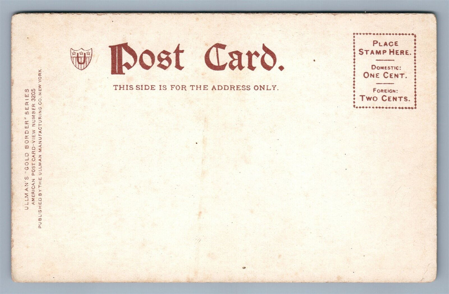BROOKLYN NY CONEY ISLAND LUNA PARK ANTIQUE POSTCARD