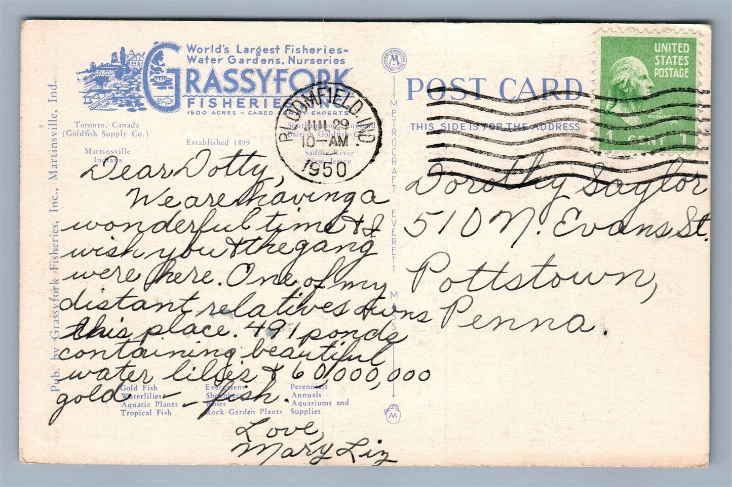MARTINSVILLE IN GRASSYFORK FISHERIES CONSERVATORY ADVERTISING VINTAGE POSTCARD