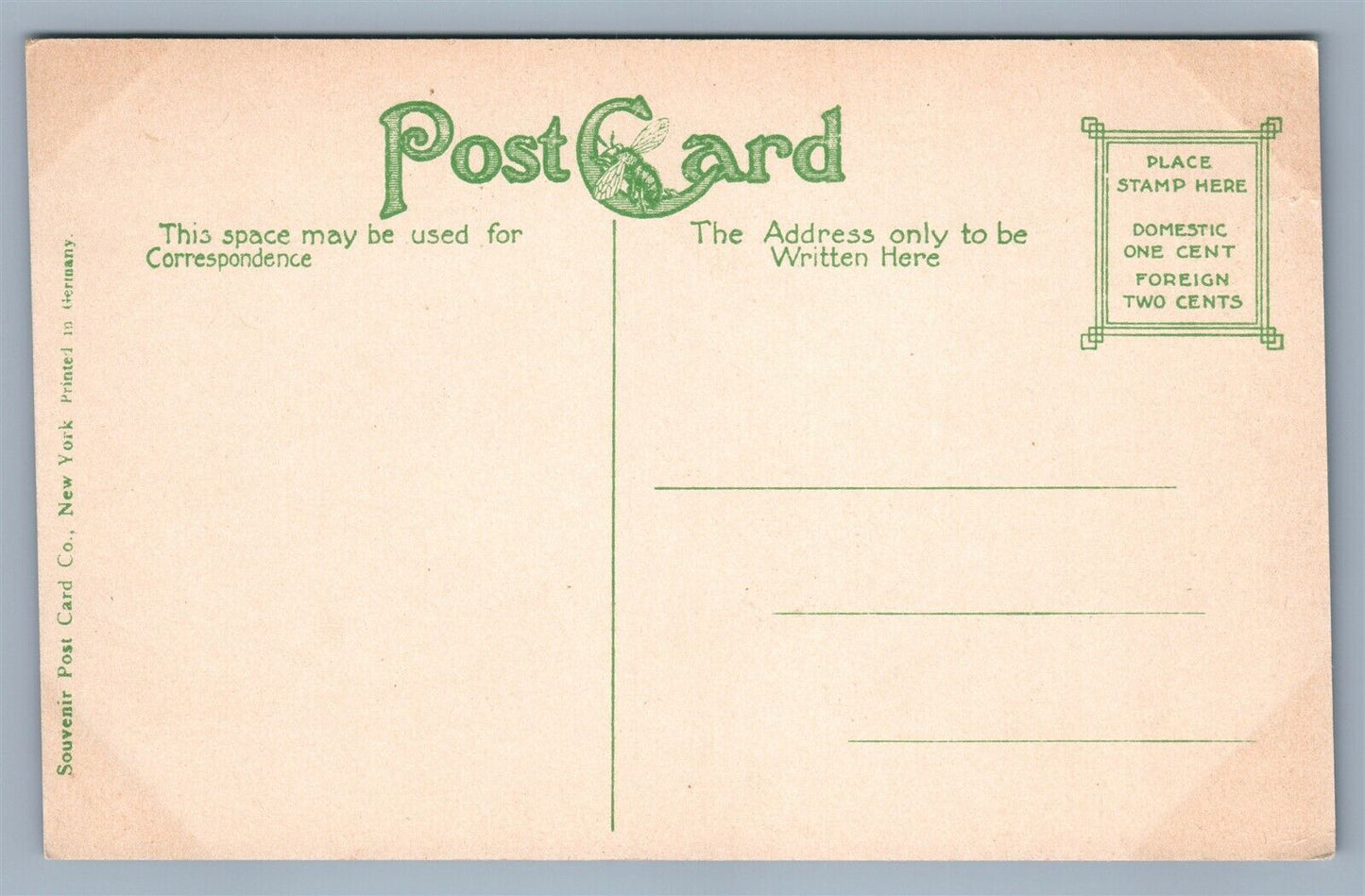 READING PA PERKIOMEN AVENUE ANTIQUE POSTCARD