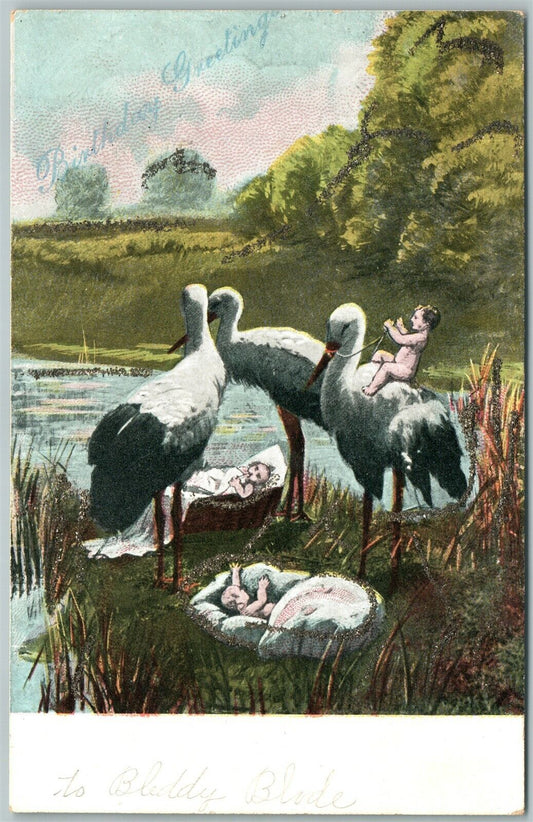 MULTIPLE BABIES w/ STORKS ANTIQUE POSTCARD