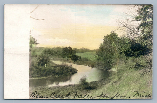 BEAN CREEK VALLEY HUDSON MI ANTIQUE REAL PHOTO POSTCARD RPPC