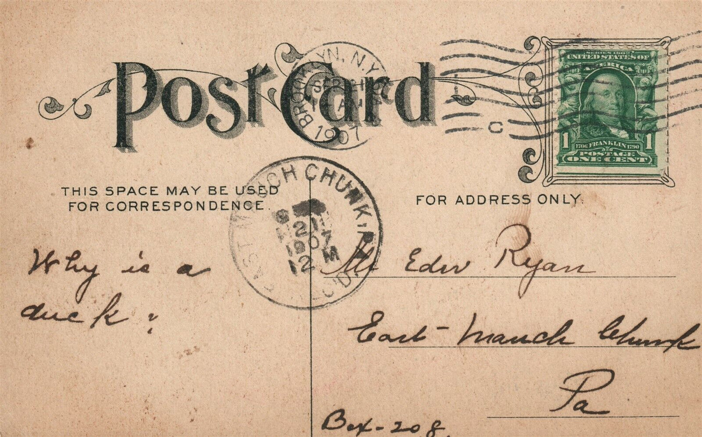 BEAR SKYING 1907 ANTIQUE POSTCARD