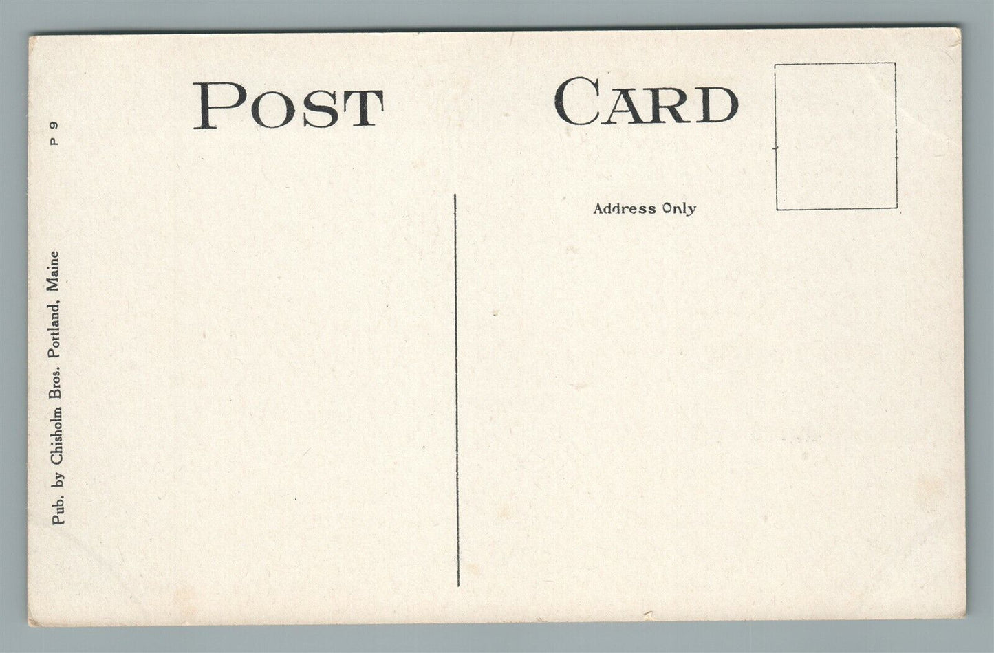 SEBAGO LAKE ME RAILROAD STATION RAILWAY DEPOT ANTIQUE POSTCARD
