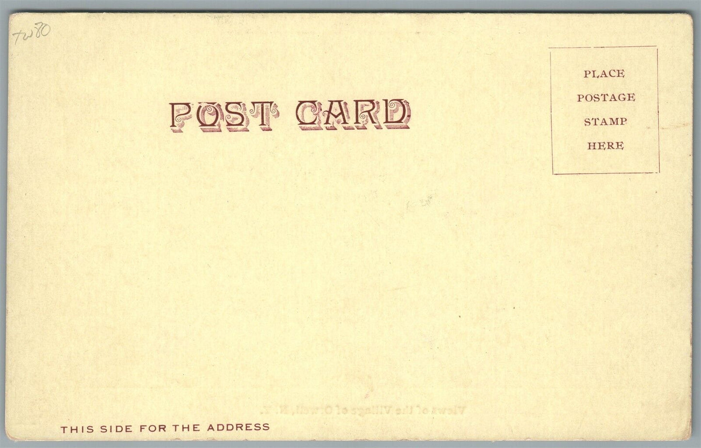 ORWELL NY VIEW OF THE VILLAGE ANTIQUE POSTCARD