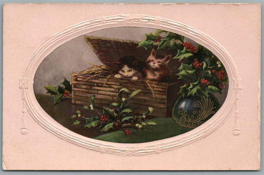 CATS in BOX ANTIQUE POSTCARD
