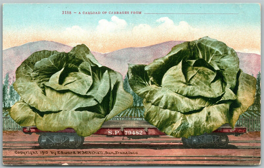 CARLOAD OF CABBAGES EXAGGERATED ANTIQUE POSTCARD