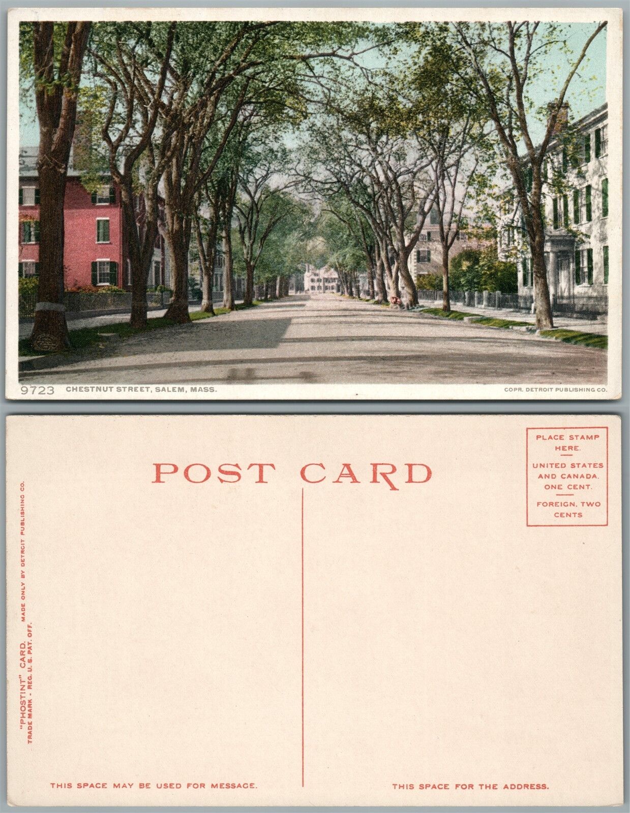 SALEM MA CHESTNUT STREET ANTIQUE POSTCARD