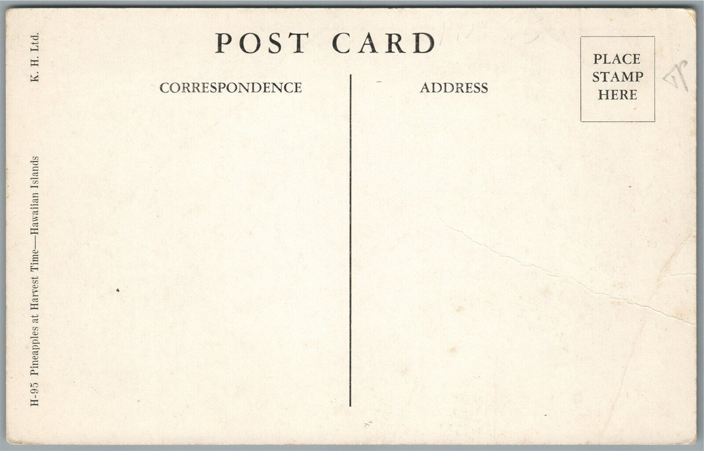 HAWAIIAN ISLANDS HI PINEAPPLES AT HARVEST TIME ANTIQUE POSTCARD