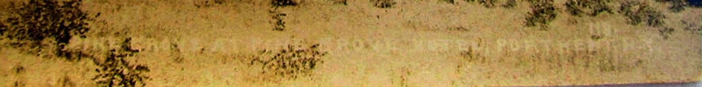 VINTAGE RPPC REAL PHOTO POSTCARD PINE GROVE AT PINE GROVE HOTEL PORT KENT N.Y.