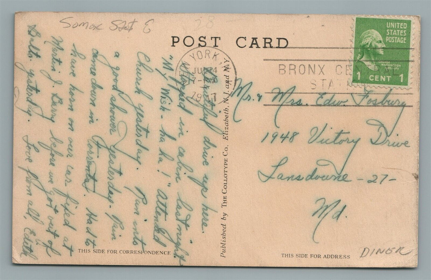 SOUTH BRANCH NJ PINE TERRACE VINTAGE POSTCARD