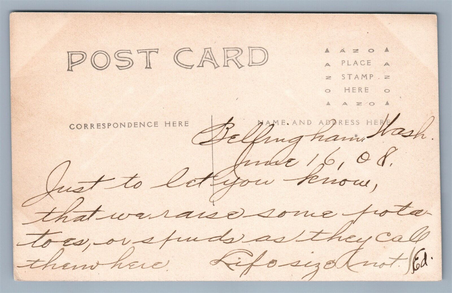 EXAGGERATED WASHINGTON POTATOES DIGGING ANTIQUE REAL PHOTO POSTCARD RPPC FARMING