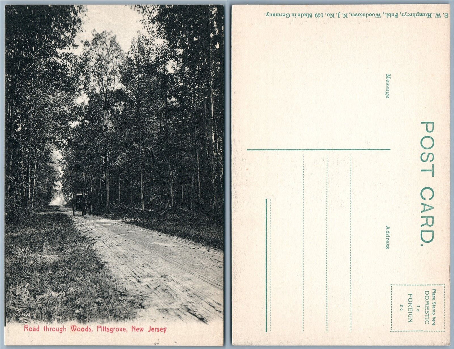 PITTSGROVE N.J. ROAD THROUGH WOODS ANTIQUE POSTCARD