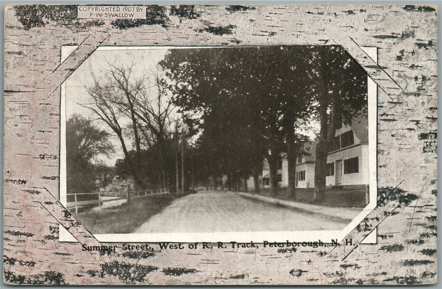 PETERBOROUGH NH SUMMER STREET ANTIQUE POSTCARD