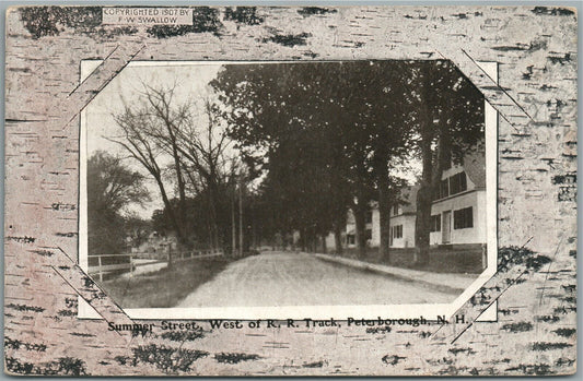 PETERBOROUGH NH SUMMER STREET ANTIQUE POSTCARD