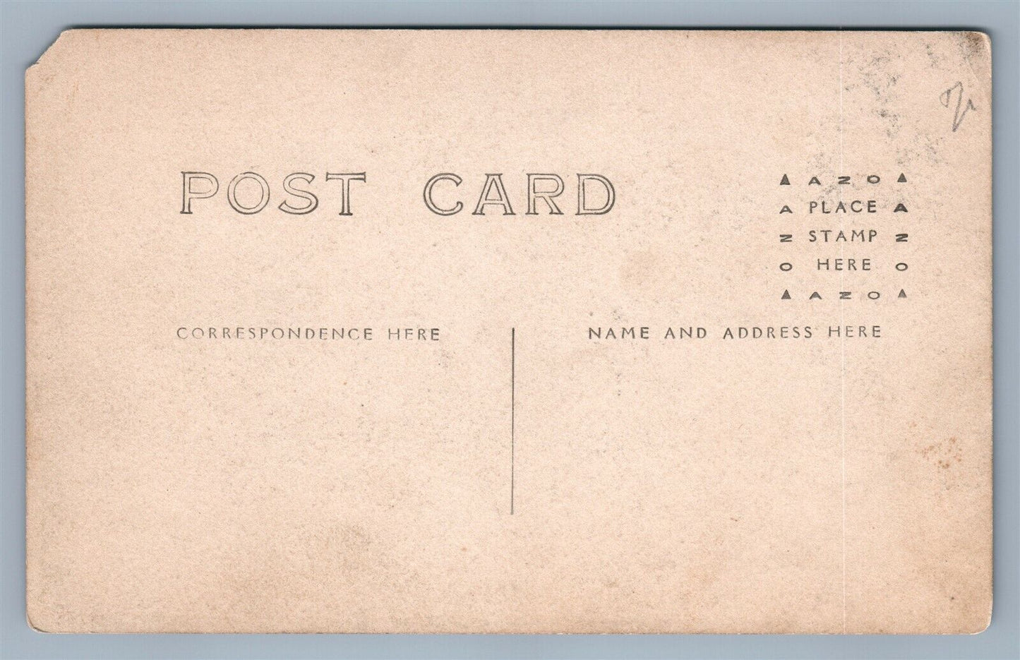 HERDSMAN w/ COWS & PIGS FARMING ANTIQUE REAL PHOTO POSTCARD RPPC