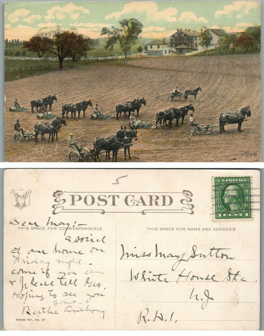 FARM SCENE w/ MULE TEAMS ANTIQUE POSTCARD