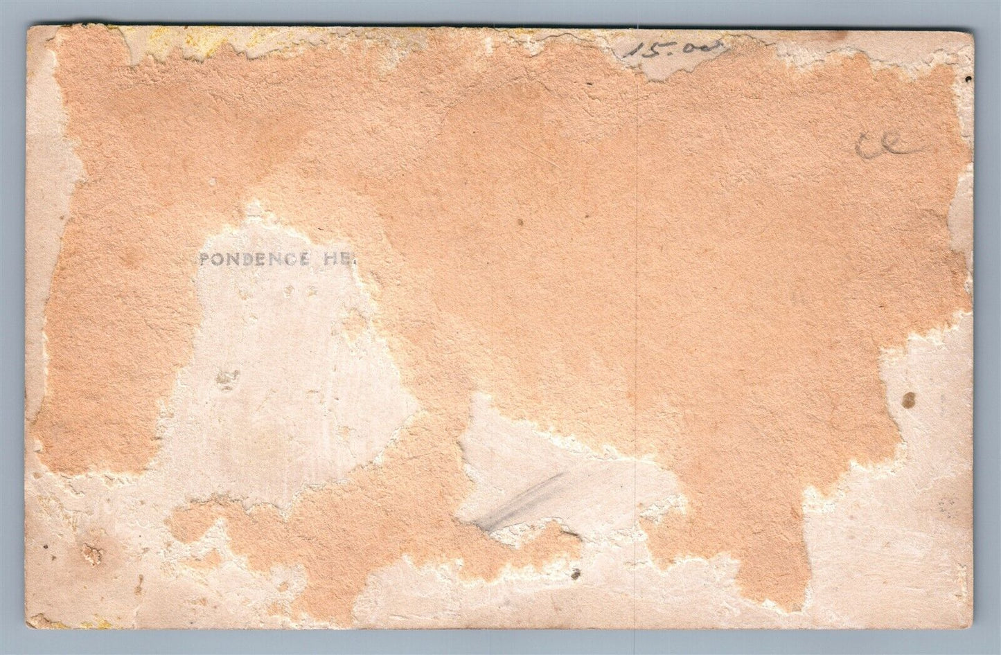 HARRISBURG PA BIRD'S EYE VIEW ANTIQUE REAL PHOTO POSTCARD RPPC