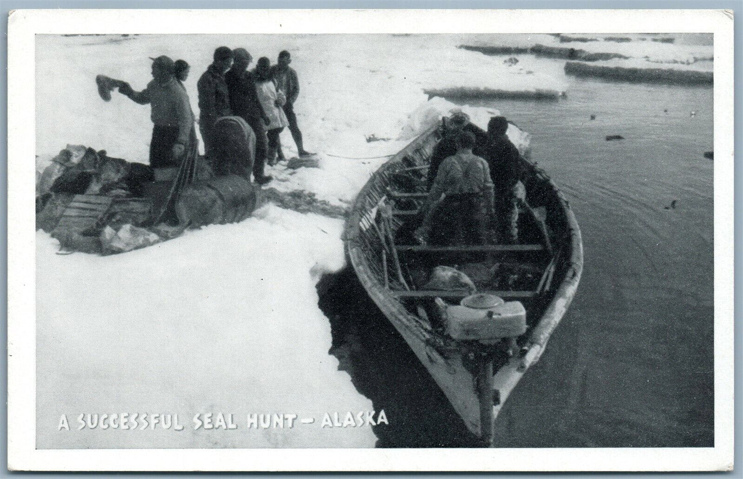 ALASKA SUCCESFUL SEAL HUNT ESKIMO VINTAGE POSTCARD